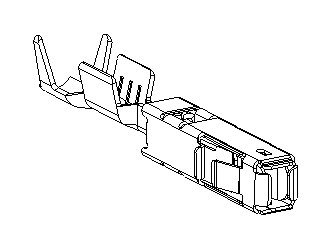3202595X5