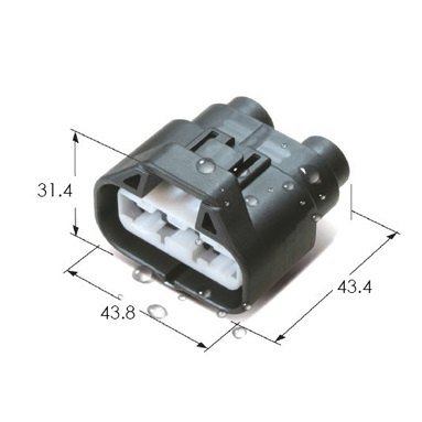 MG642925