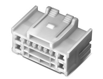 MG655203