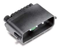 MG655819
