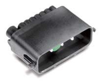 MG655819-5